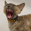 Dukier animal print cat collar – image 2