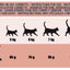 Schesir Animal Protein Kitten dry cat food, 10 kg – image 2