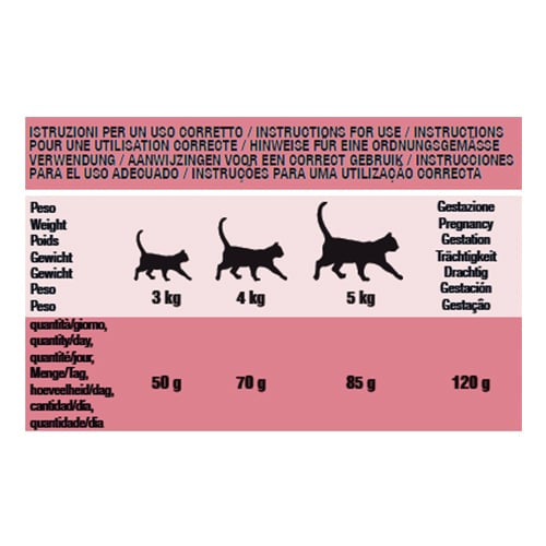 Schesir Maintenance ham dry cat food, 400 g – image 2