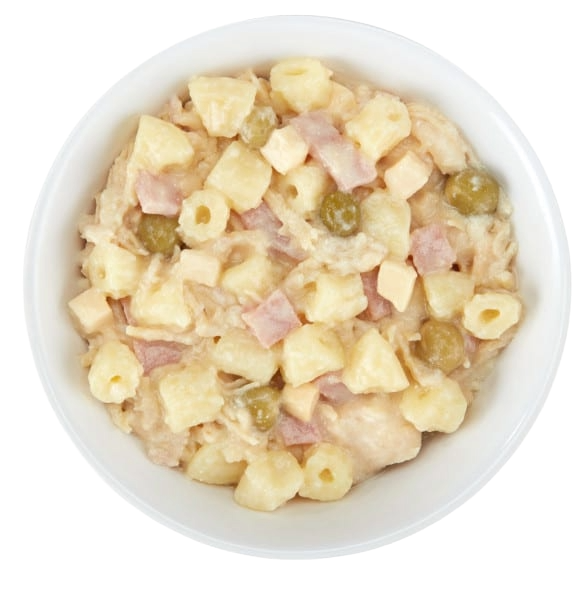 Schesir chicken with carbonara wet dog food, 150 g
