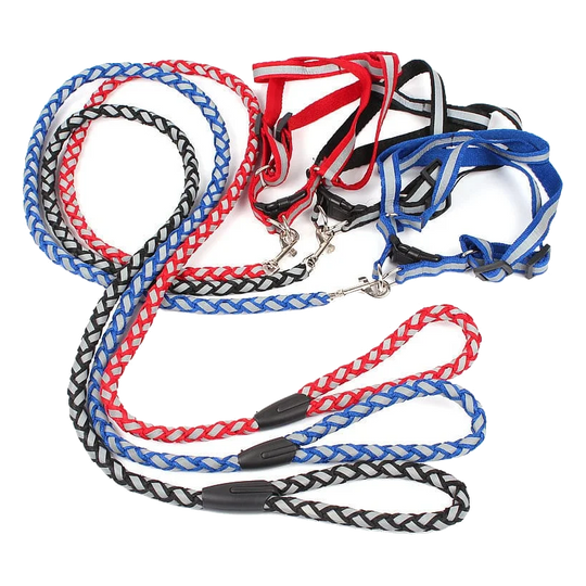 Dog Harness and Braided Lead Set, 8, 10 and 15 mm