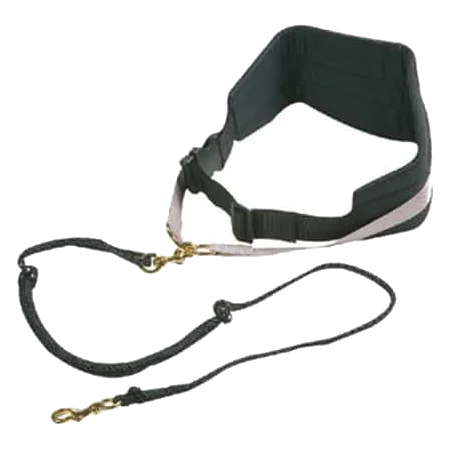 Canicross dog harness