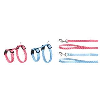 Amsi kitten harness and lead set, size 1