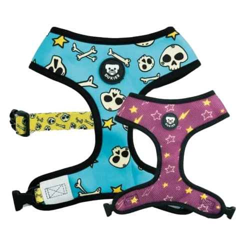 Dukier Calaveras reversible dog harness, blue and purple, sizes T1 to T4