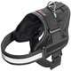 Xtreme Teflon black dog harness