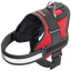 Xtreme Teflon red dog harness