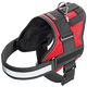 Xtreme Teflon red dog harness