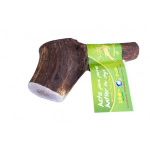 Deer antler dog chew, size XL
