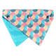 FuzzYard Carioca reversible dog bandana, size M/L