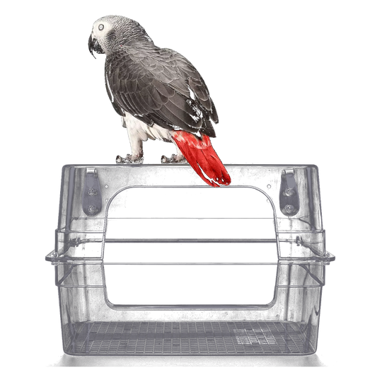 Large clear bird bath for cage with perched parrot