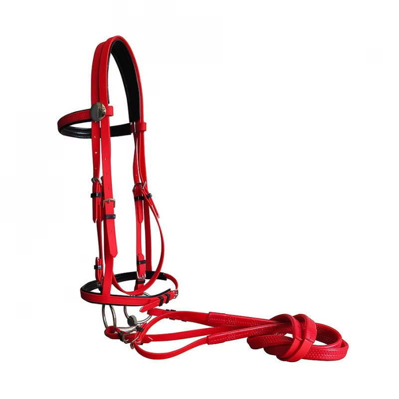 PVC bridle with adjustable reins for horses – view 9