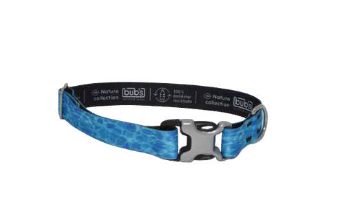 Bub's Aqua dog collar with metal buckle, 25 mm – original image