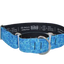 Bub's Aqua martingale dog collar, 50 mm, size XL – original image