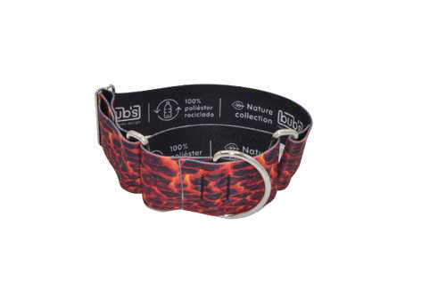 Bub's Lava martingale dog collar, 50 mm, size L – original image