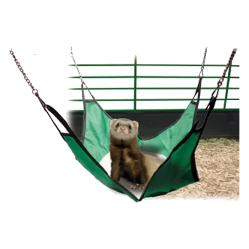 Ferret house