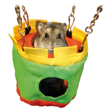 Hanging house for small animals