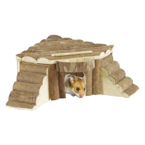 House with ladder for small animals