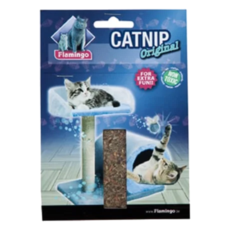 Natural catnip for cats