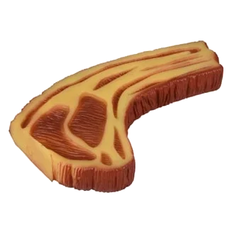 Giant vinyl steak dog toy, 22 x 13 x 3 cm