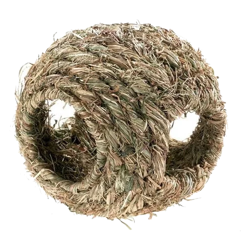 Classic Play Ball 180 mm for small animals