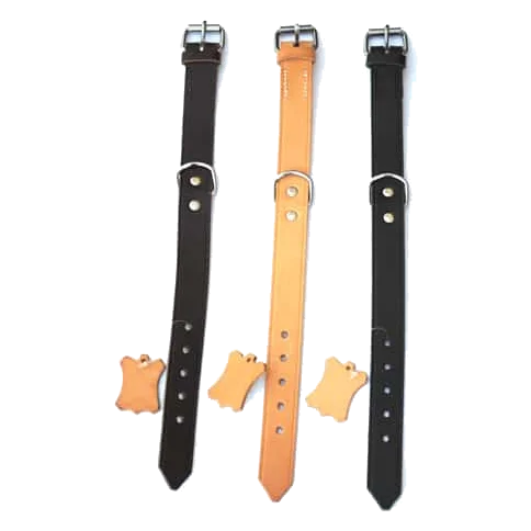 Wide leather dog collar, sizes T1 to T7
