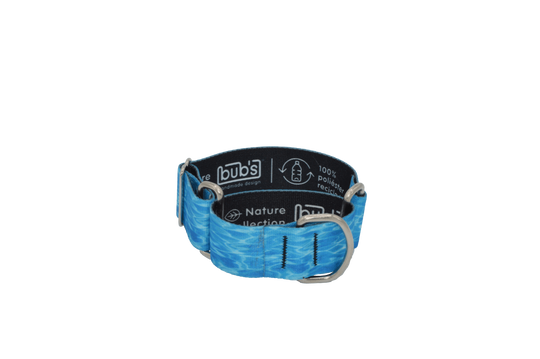 Bub's Aqua martingale dog collar, size S