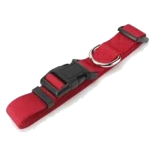 Nylon dog collar 15 mm, sizes T1, T2 and T3