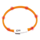 Orange LED cat collar