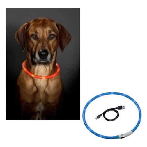USB rechargeable LED dog collar, one size, 70 cm