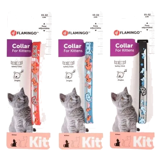 Nanou kitten collar, 15–22 cm, 10 mm, assorted