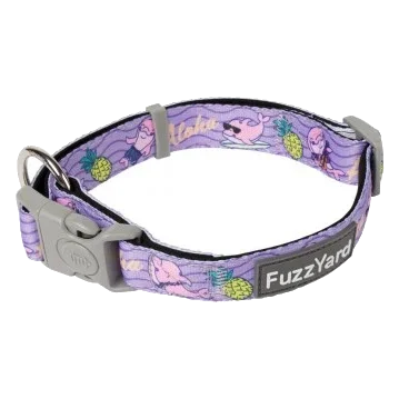 FuzzYard Aloha Dolphins Padded Neoprene Dog Collar