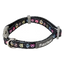 FuzzYard Bed Bugs Padded Neoprene Dog Collar