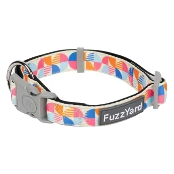 FuzzYard Fresh Zest Padded Neoprene Dog Collar