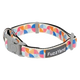 FuzzYard Fresh Zest Padded Neoprene Dog Collar