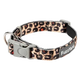 Neoprene dog collar FuzzYard Javan