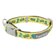 FuzzYard Sk8ter Gator Padded Neoprene Dog Collar