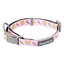 Neoprene dog collar FuzzYard SuShiba