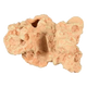 Sahara coral aquarium ornament