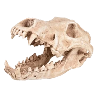 Skull aquarium ornament