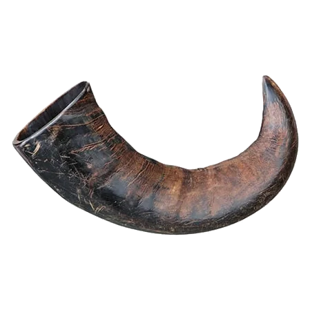 Buffalo Horn Dog Chew, 15 and 20 cm