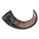Buffalo Horn Dog Chew, 15 and 20 cm