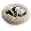 Calming donut dog bed, cream, 50 cm