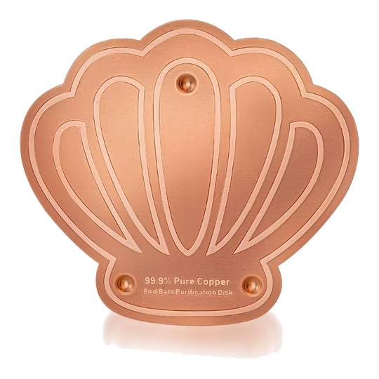 Copper disc for bird bath in shell shape