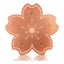 Copper disc for bird bath in flower shape