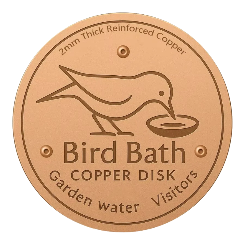 Round light copper bird bath disc with engraved bird
