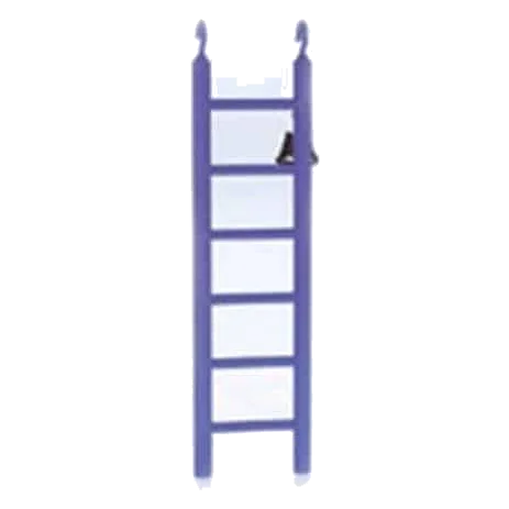 Large bird ladder, 5.5 × 23 cm