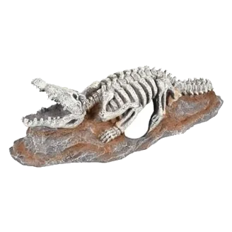 Crocodile skeleton aquarium ornament