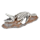 Crocodile skeleton aquarium ornament