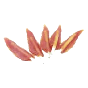 Chicken Fillets on Hide Sticks for Dogs, 500 g