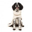 FuzzYard The Cosy high-neck dog coat, Eggshell (size 1)